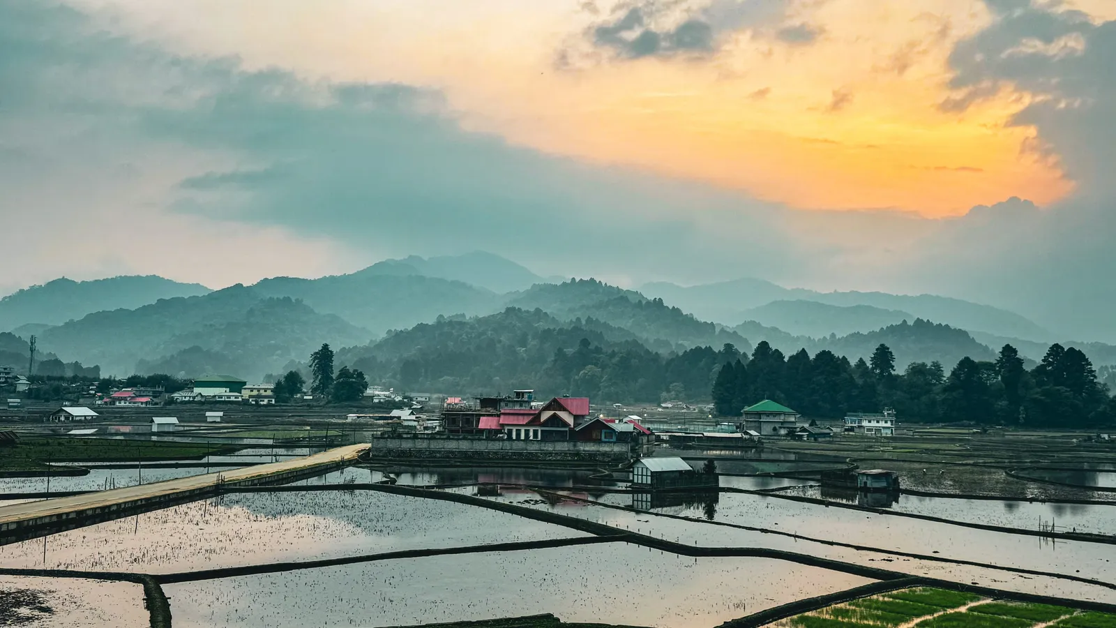 4:30 am at Ziro